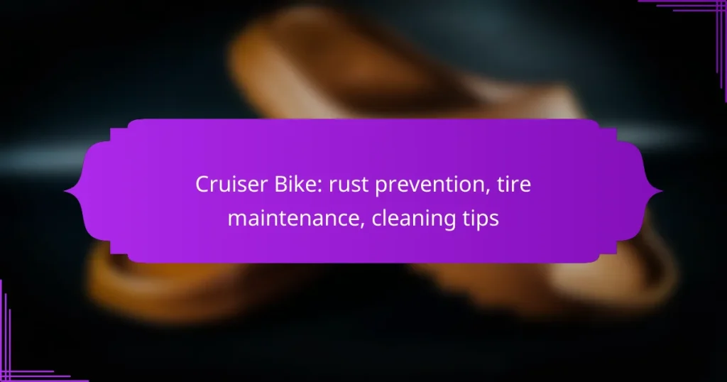 Cruiser Bike: rust prevention, tire maintenance, cleaning tips