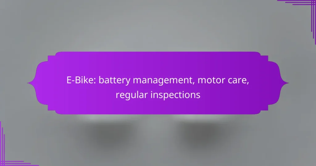 E-Bike: battery management, motor care, regular inspections