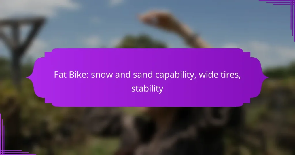 Fat Bike: snow and sand capability, wide tires, stability