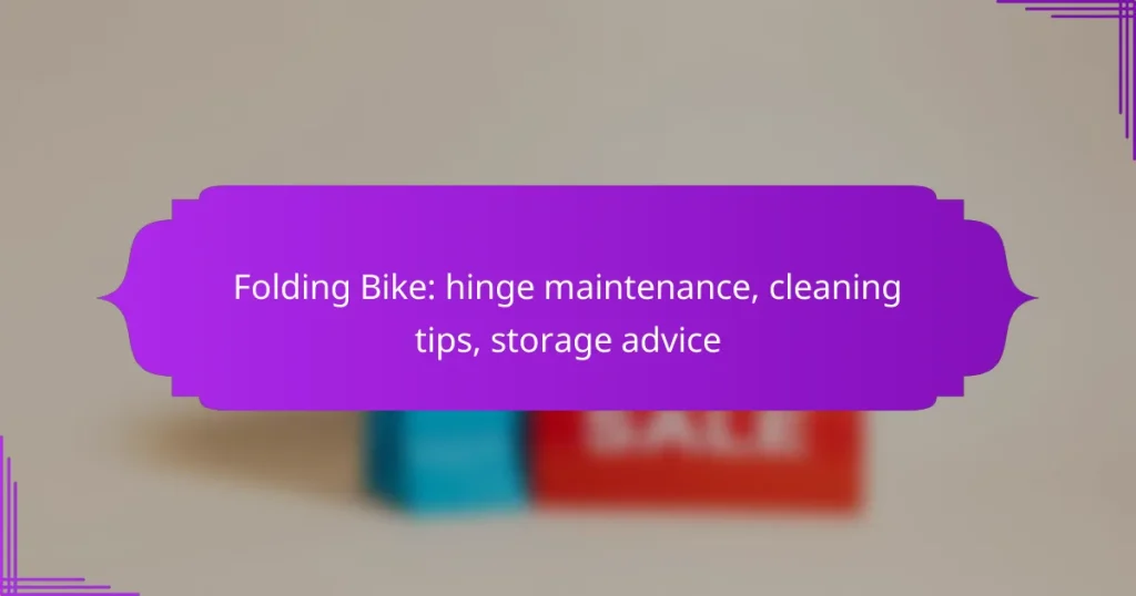 Folding Bike: hinge maintenance, cleaning tips, storage advice