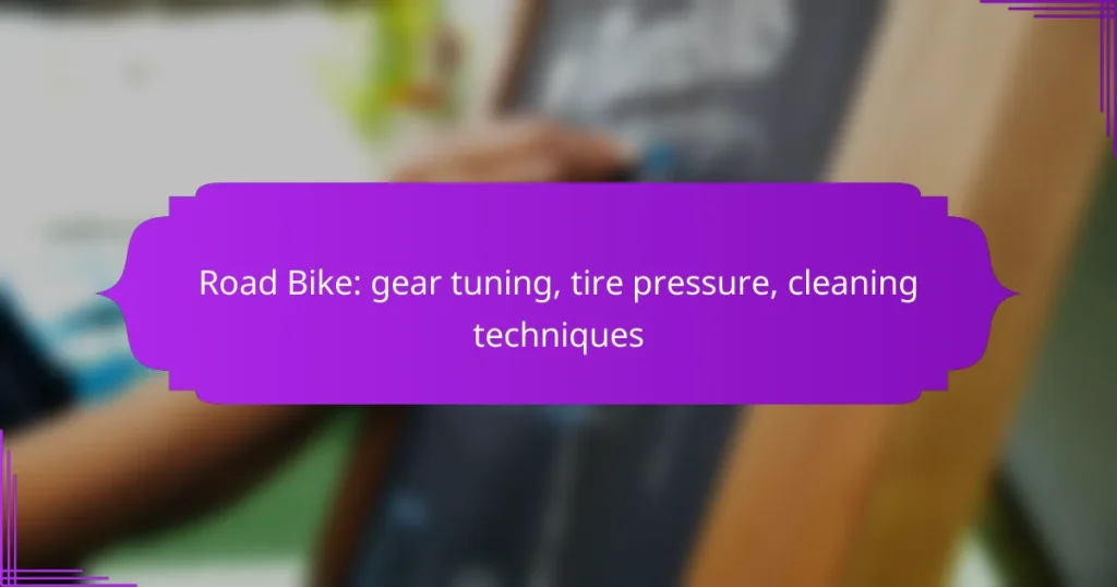 Road Bike: gear tuning, tire pressure, cleaning techniques