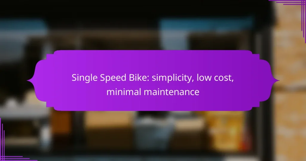 Single Speed Bike: simplicity, low cost, minimal maintenance