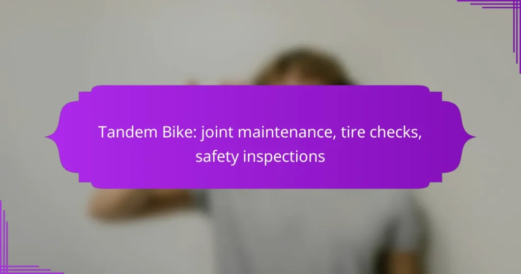 Tandem Bike: joint maintenance, tire checks, safety inspections