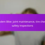 Tandem Bike: joint maintenance, tire checks, safety inspections