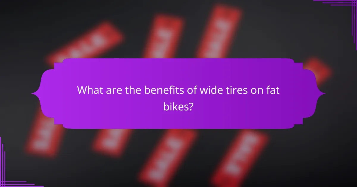 What are the benefits of wide tires on fat bikes?