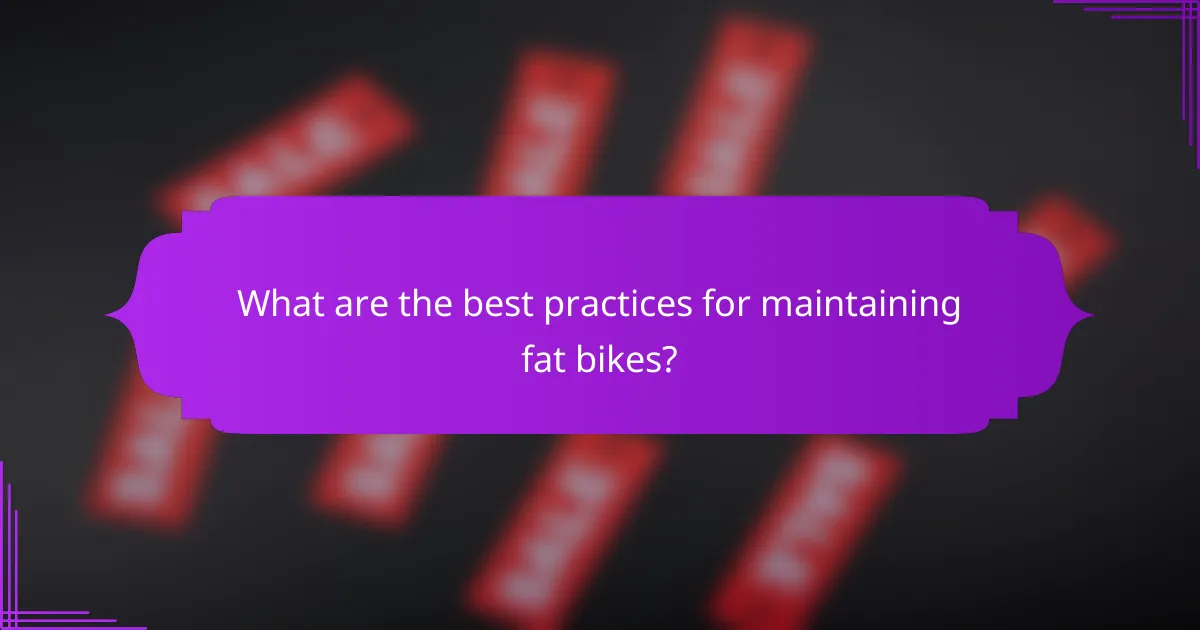What are the best practices for maintaining fat bikes?