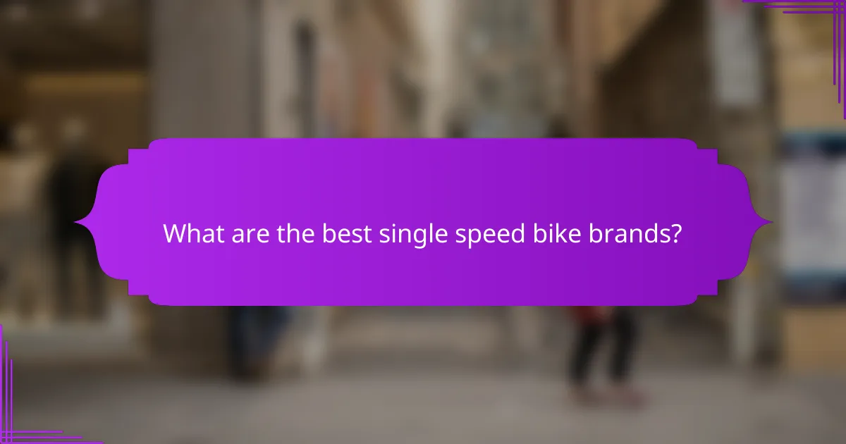 What are the best single speed bike brands?