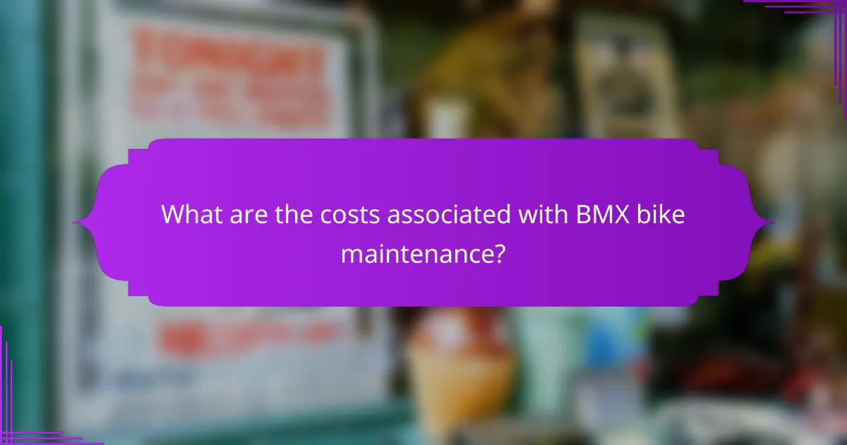 What are the costs associated with BMX bike maintenance?