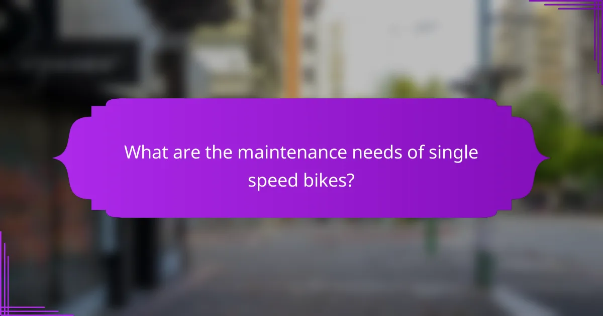 What are the maintenance needs of single speed bikes?