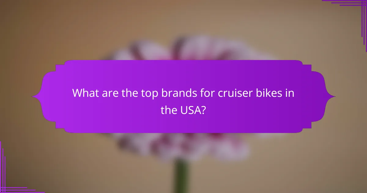 What are the top brands for cruiser bikes in the USA?