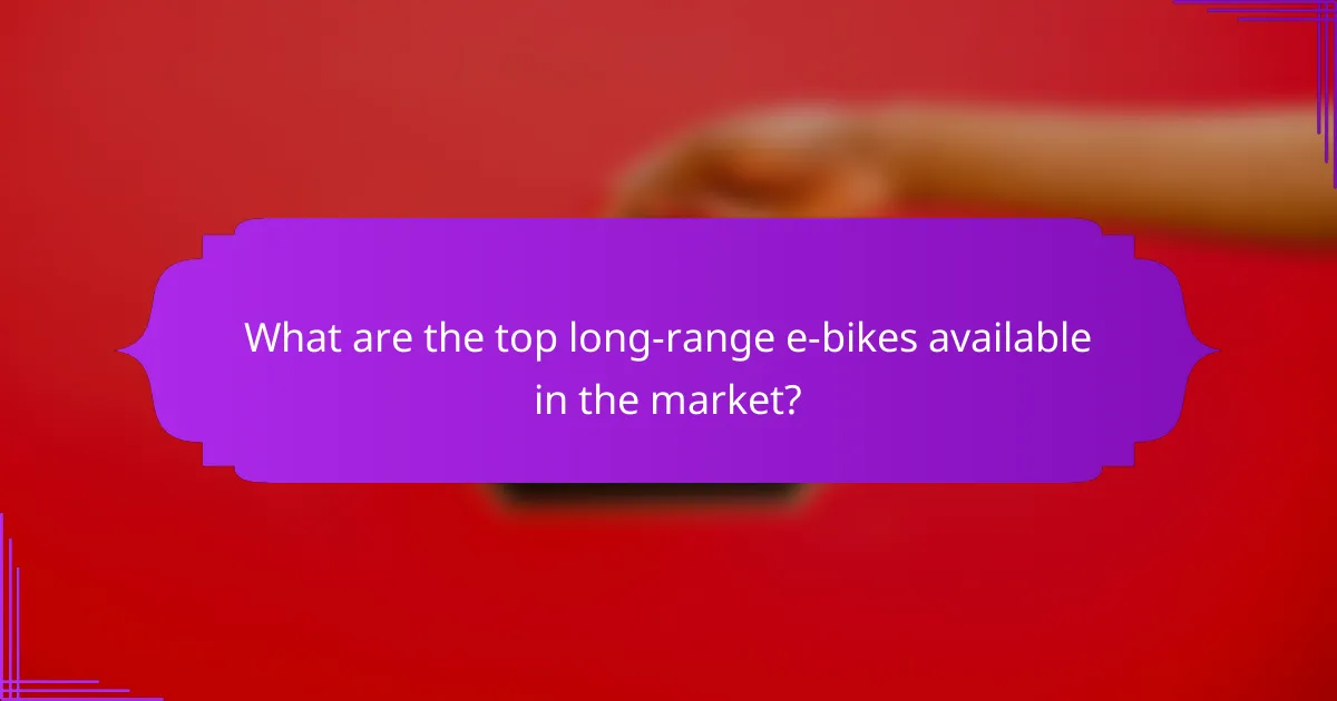 What are the top long-range e-bikes available in the market?