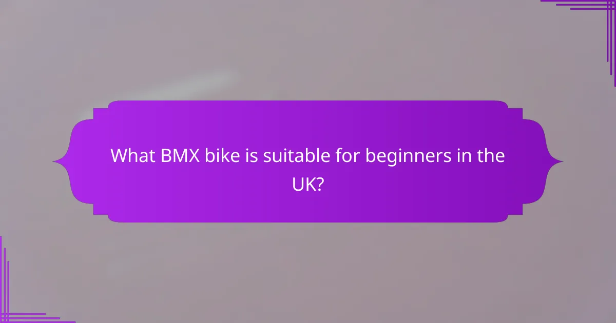 What BMX bike is suitable for beginners in the UK?